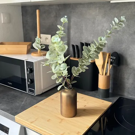 Appartement Chez Brunella Centre Avec Parking Reims